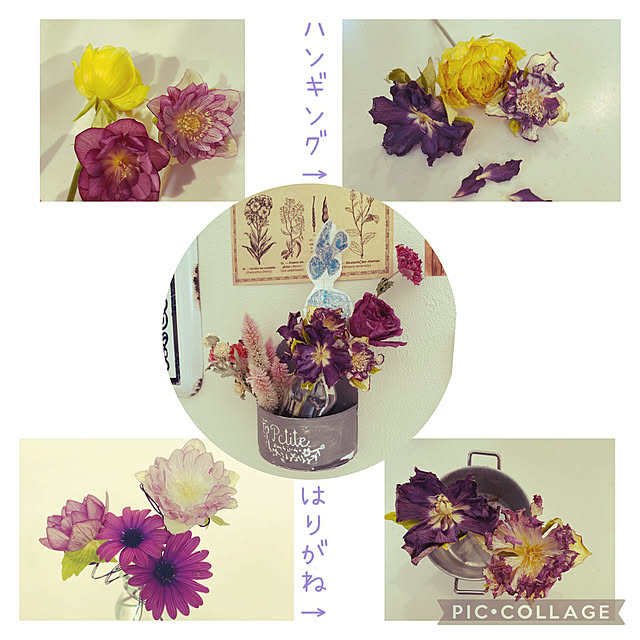 moainanoさんの実例写真