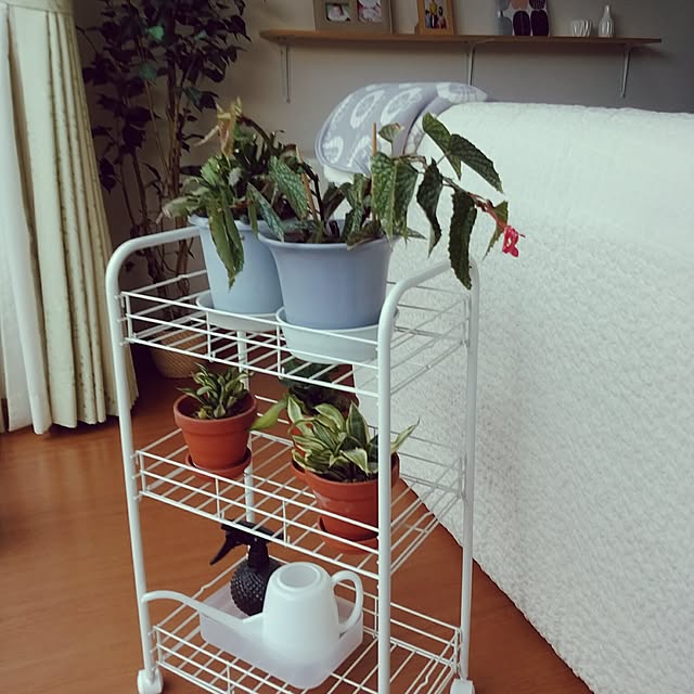 hiromiさんの実例写真