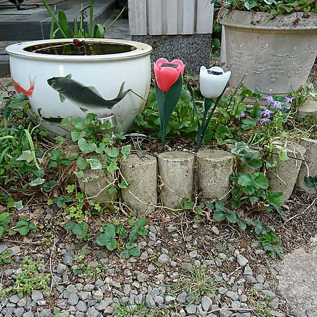 yukkyさんの実例写真