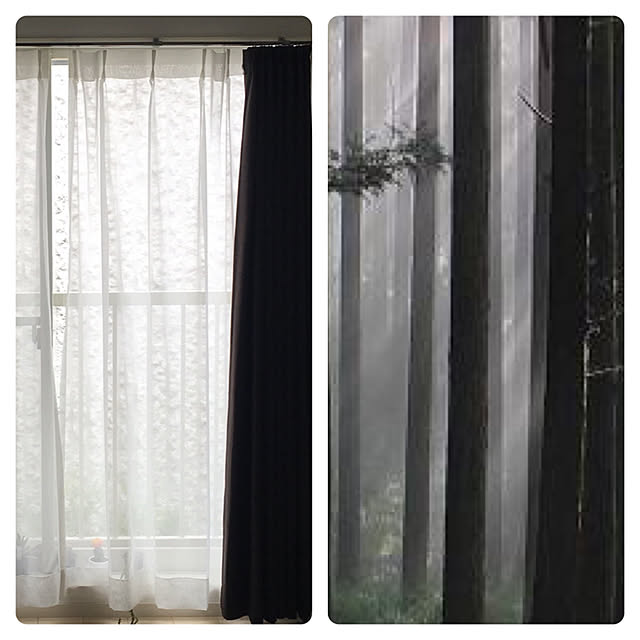 部屋全体のインテリア実例 - 2019-06-24 12:32:22