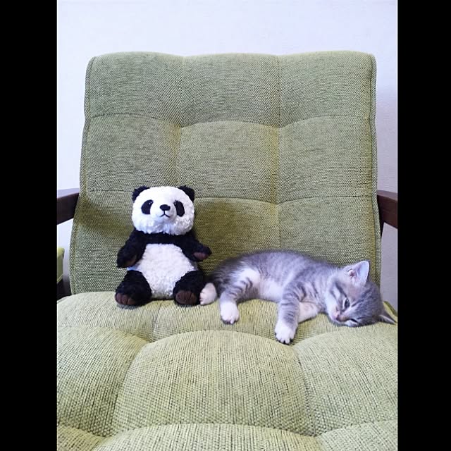 lovepandaさんの実例写真