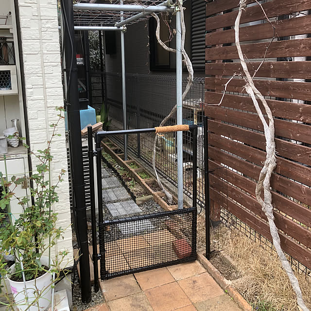 osarunoeijiさんの実例写真