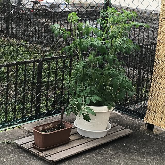 joker27さんの実例写真