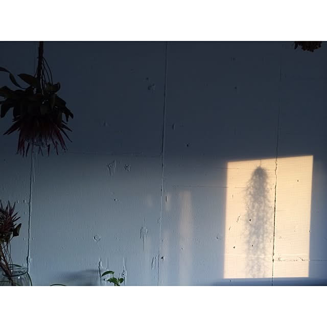 kurobarさんの実例写真