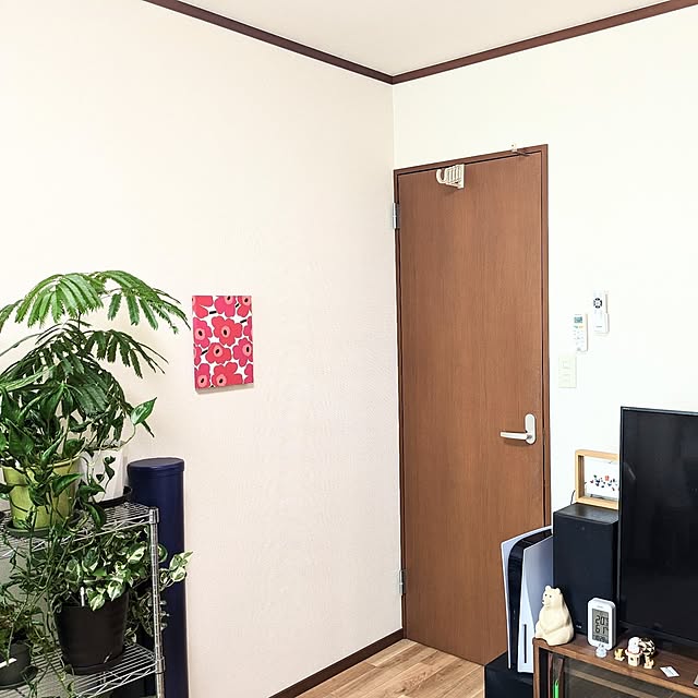 lala_moraさんの実例写真