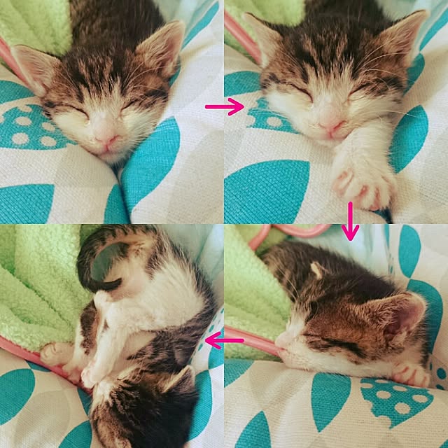 kiraさんの実例写真