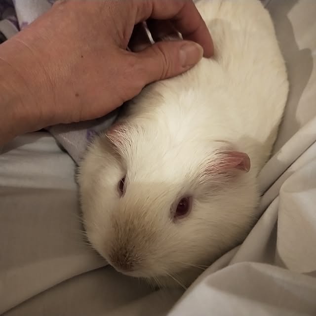 roomicさんの部屋