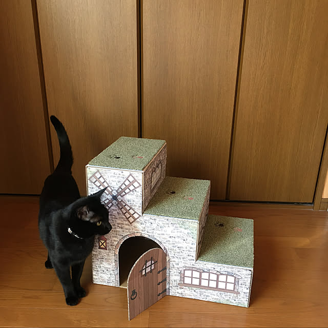 mame-minさんの実例写真
