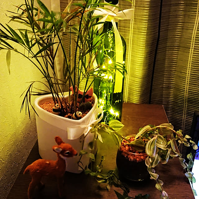 shiratamaさんの実例写真