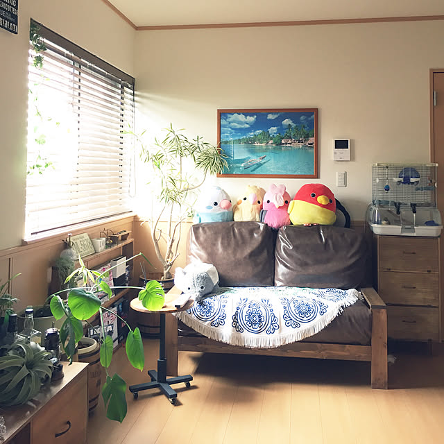 kaotanさんの実例写真