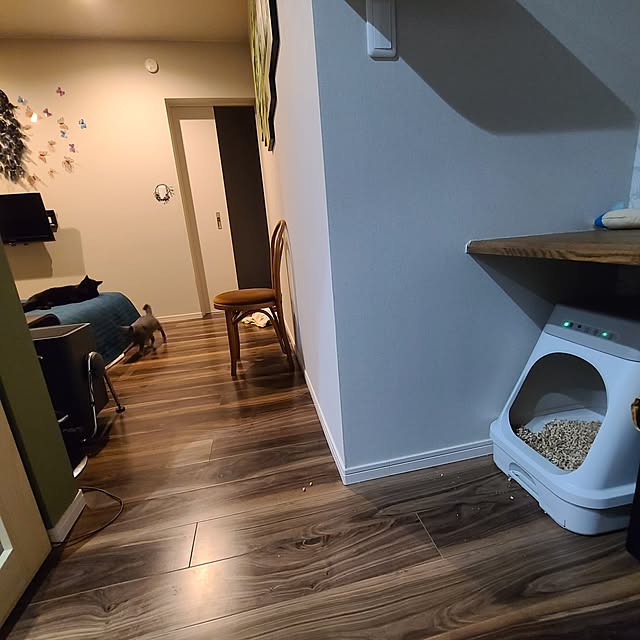 zenoさんの実例写真