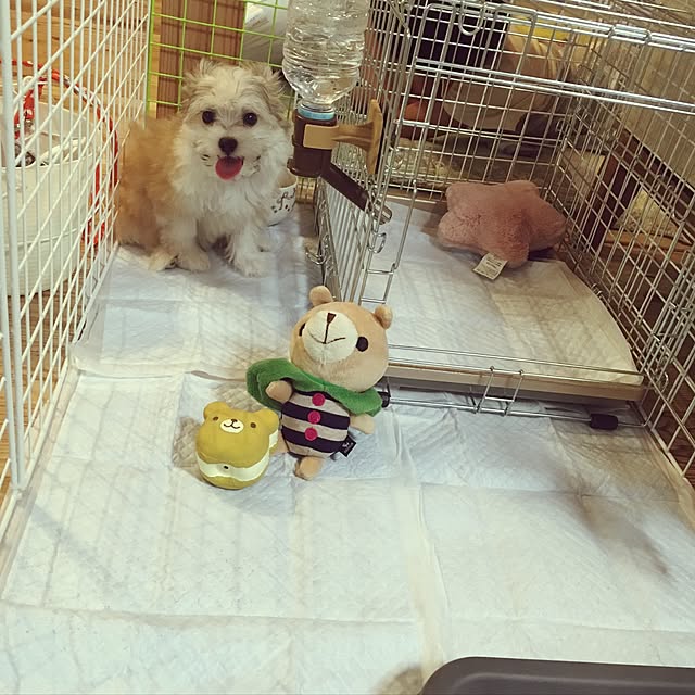 megumeguさんの実例写真