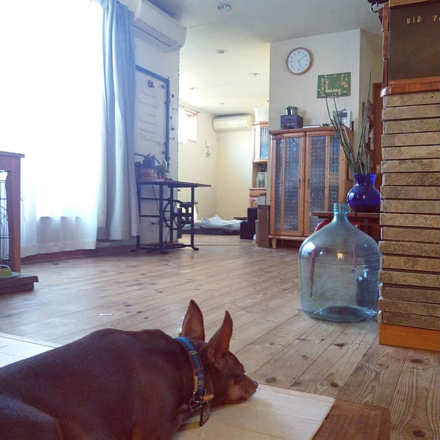 chocoさんの実例写真