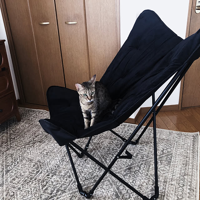 Moyokoさんの実例写真