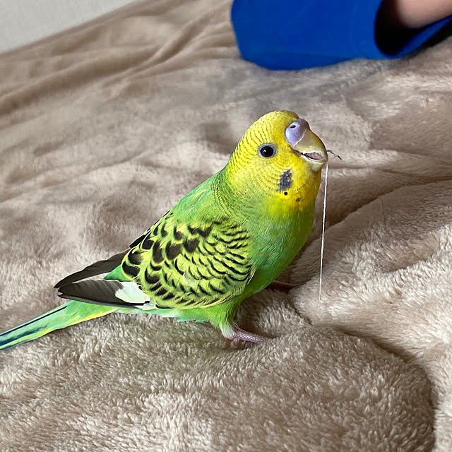 ohanaさんの部屋