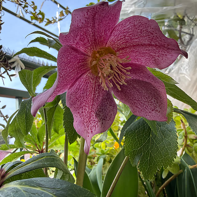 Aqettyさんの部屋