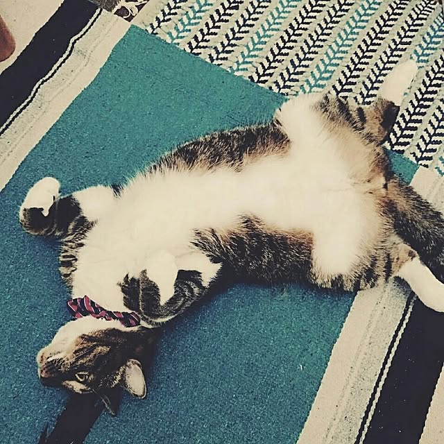 Lukiさんの実例写真