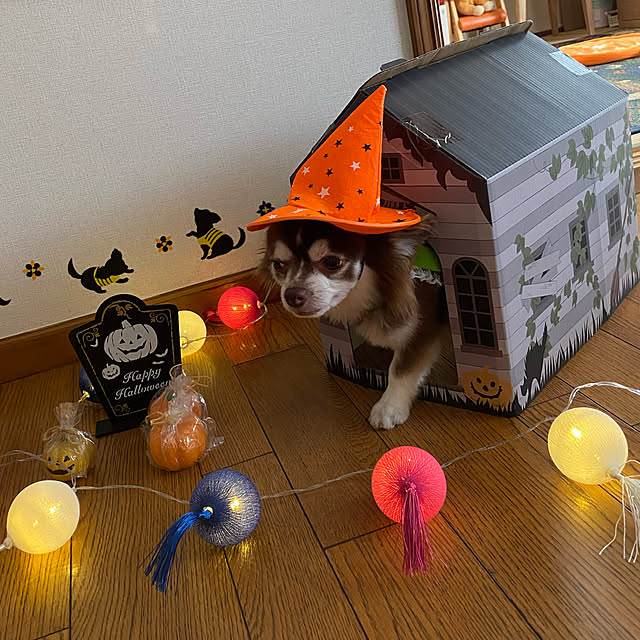 chIoeさんの実例写真