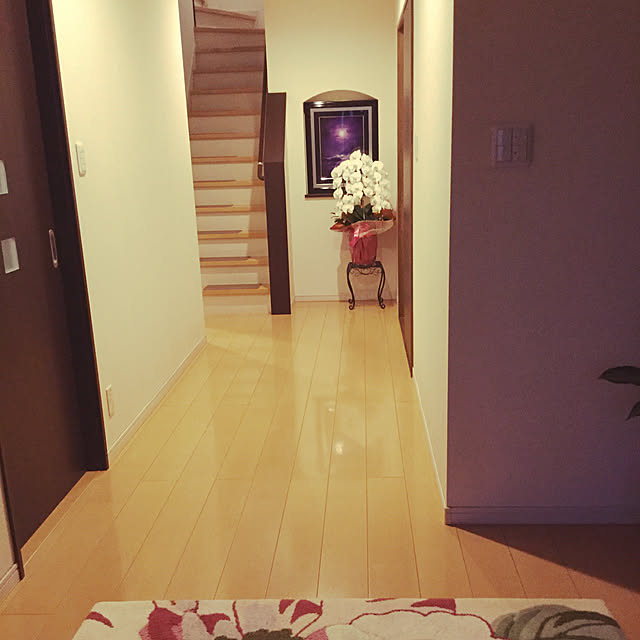玄関/入り口のインテリア実例 - 2019-02-15 17:34:52