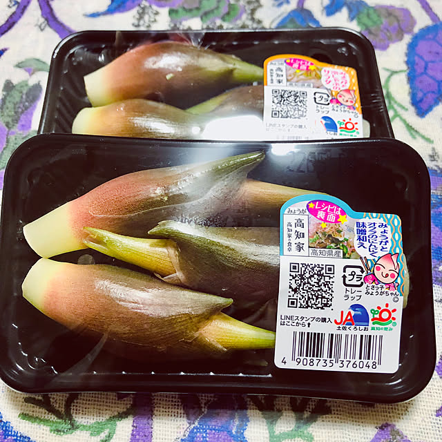 hanachanさんの部屋