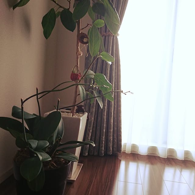 Mihoさんの実例写真