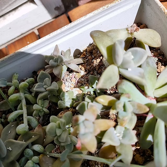 YUKKIさんの部屋
