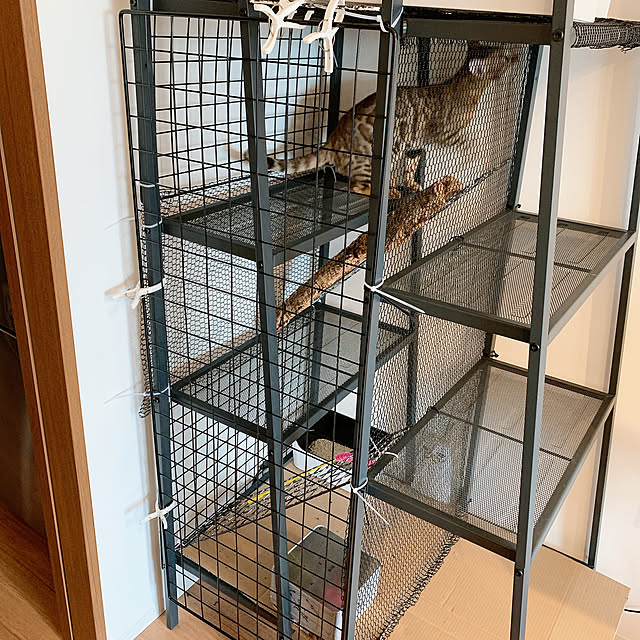 Kurehaさんの実例写真