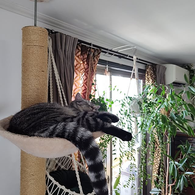 hiro3さんの部屋