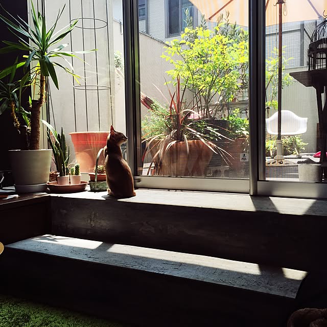 Ikeyaさんの実例写真