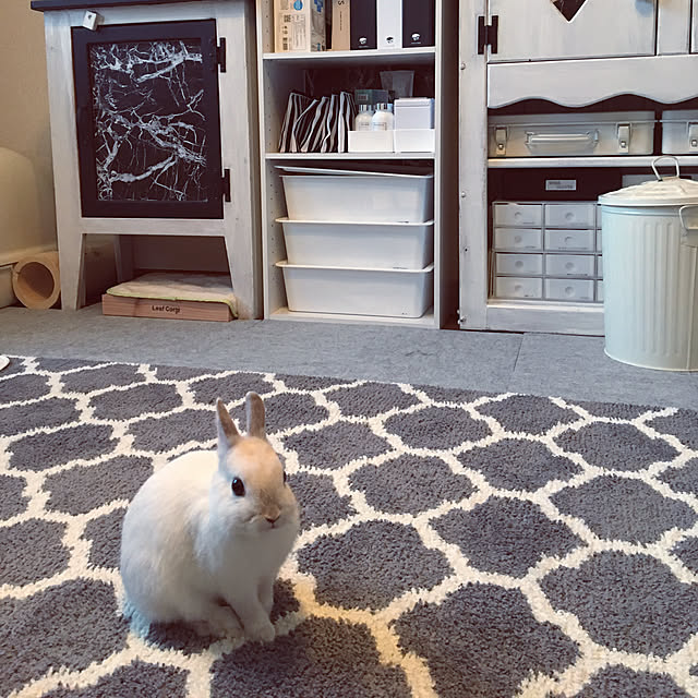 alvin.0522さんの実例写真