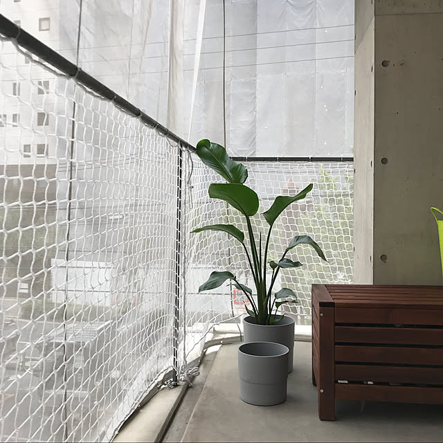 ベランダガーデン/庭/観葉植物/部屋全体のインテリア実例 - 2020-12-05 08:19:18