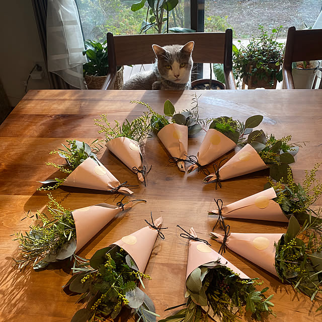 taakoさんの部屋