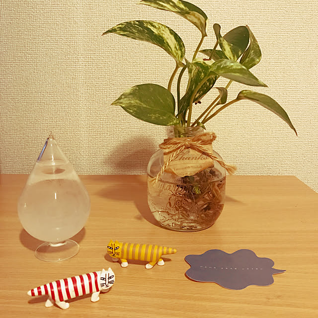 booboo22さんの実例写真