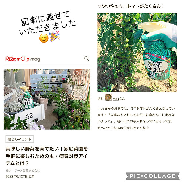 moaさんの実例写真