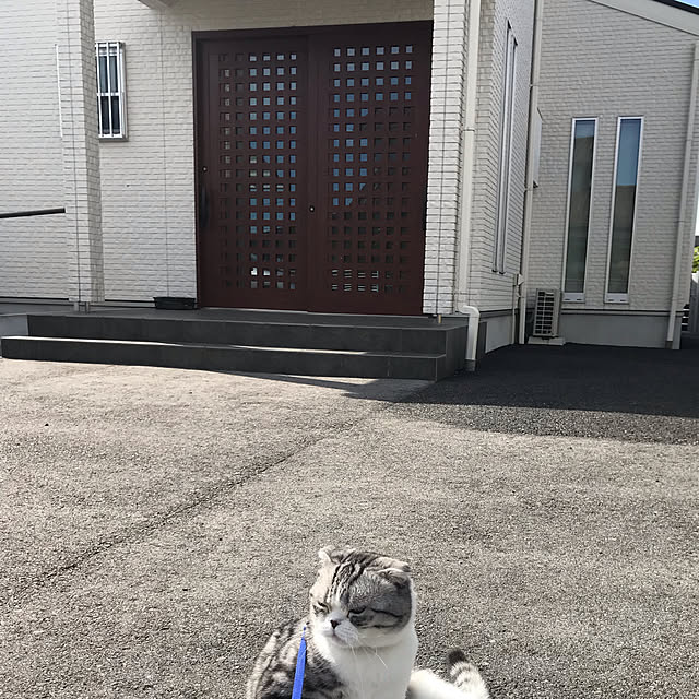 Dahliaさんの実例写真