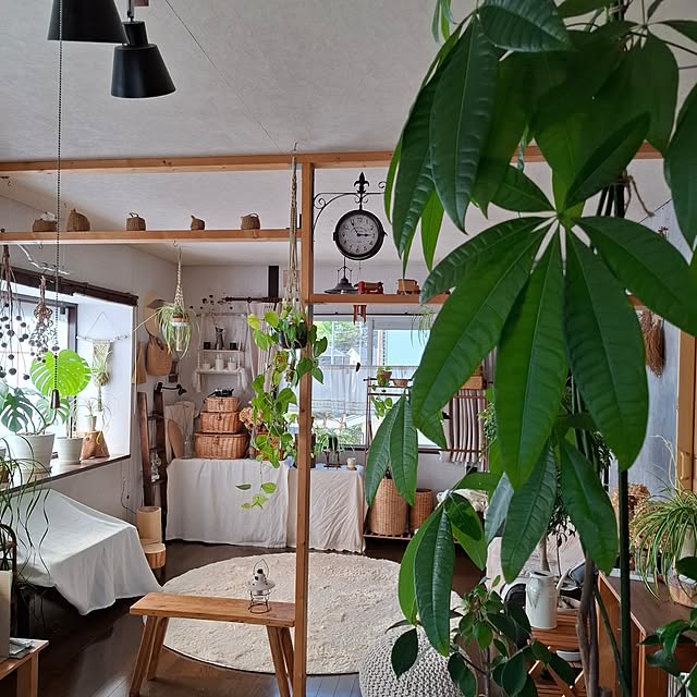 midoriさんの部屋