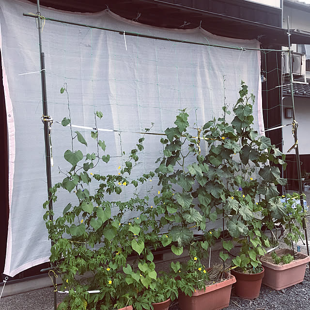maroさんの部屋