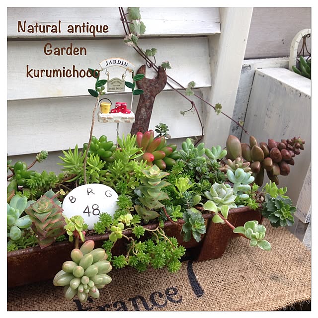 kurumichocoさんの実例写真