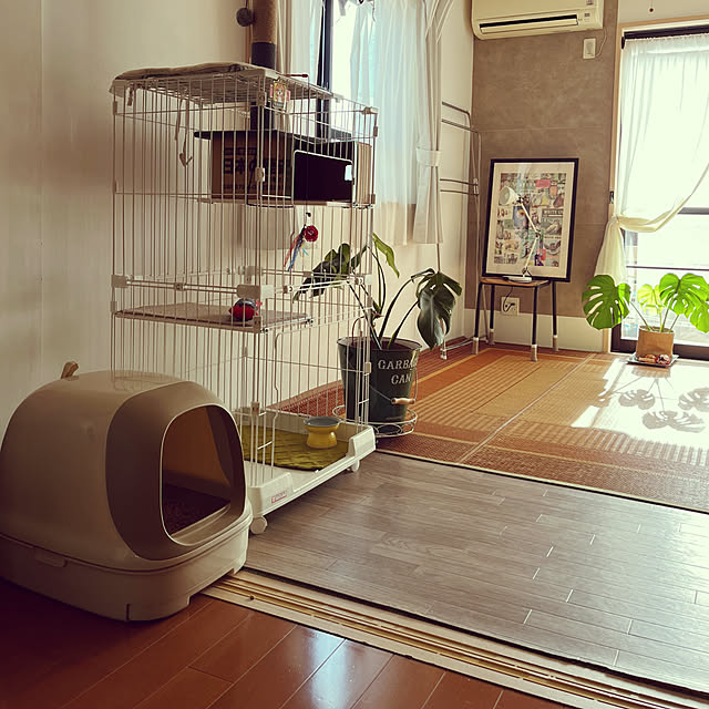 tomatoさんの実例写真