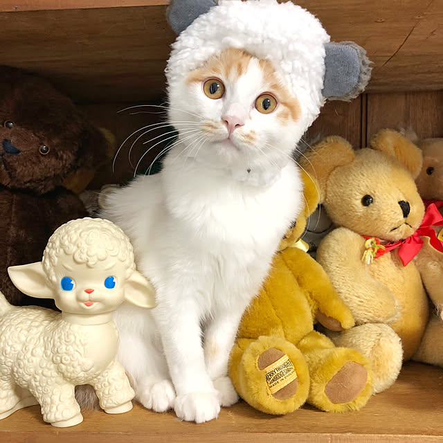 yuchiさんの実例写真