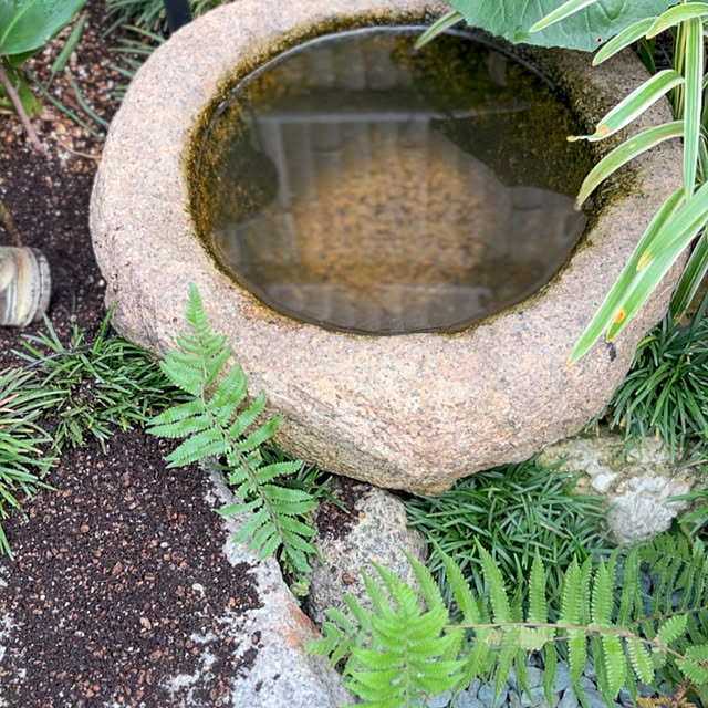 faunさんの部屋