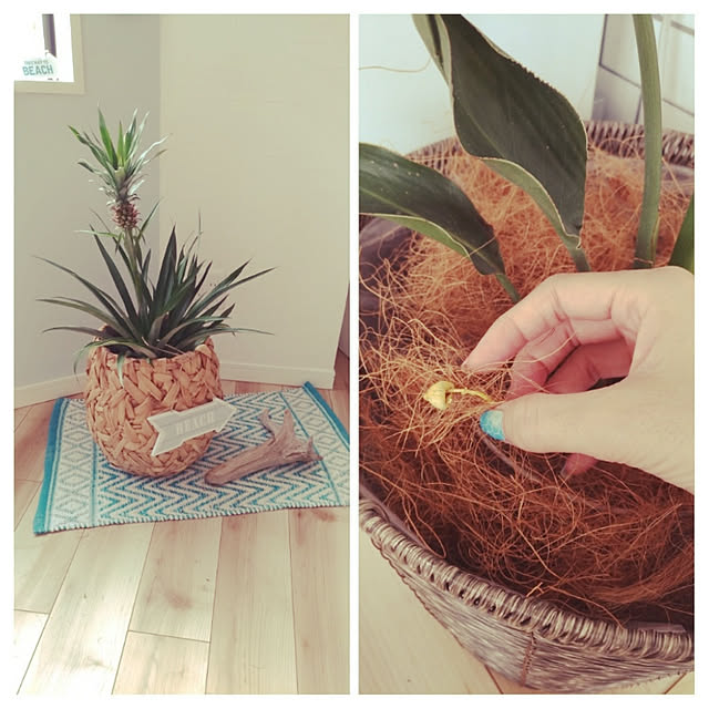 alohakaorenさんの実例写真