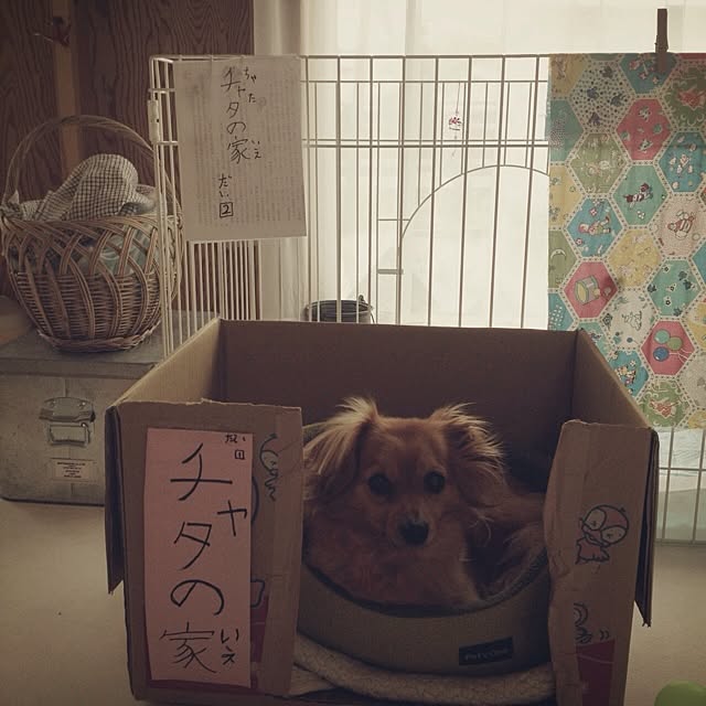 mikarinさんの実例写真