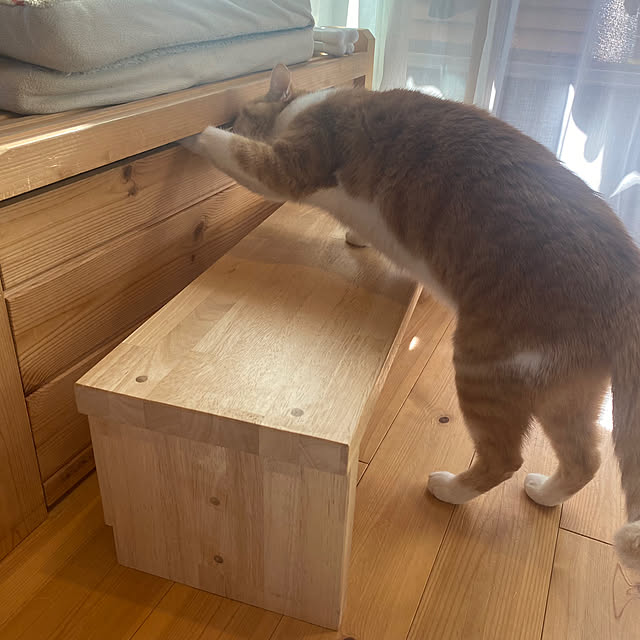 senbei.sakuramochiさんの実例写真