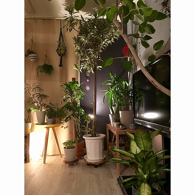 naoさんの実例写真