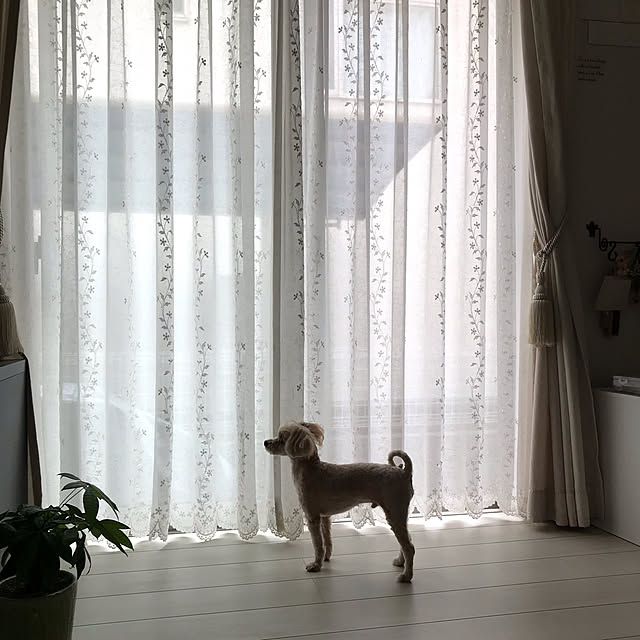 miyumiyuさんの実例写真