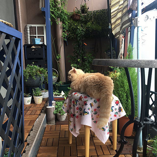 naokoさんの実例写真