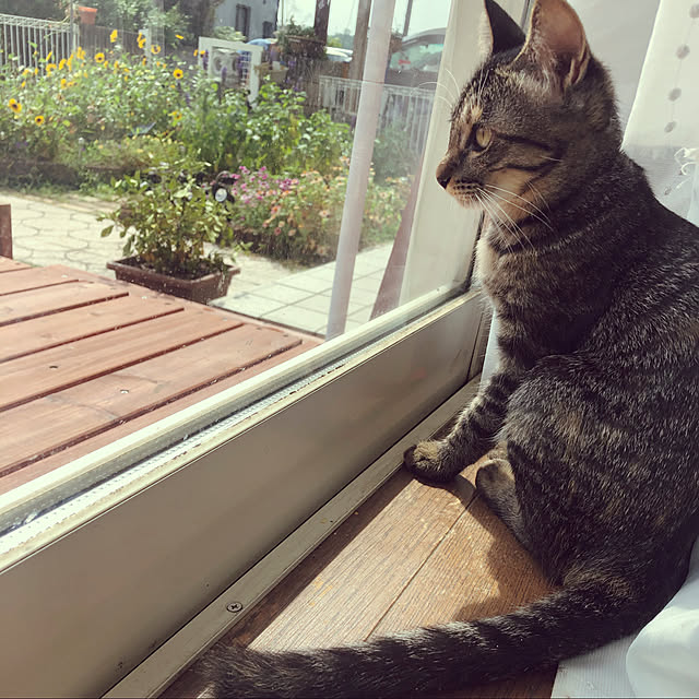 mamiさんの実例写真