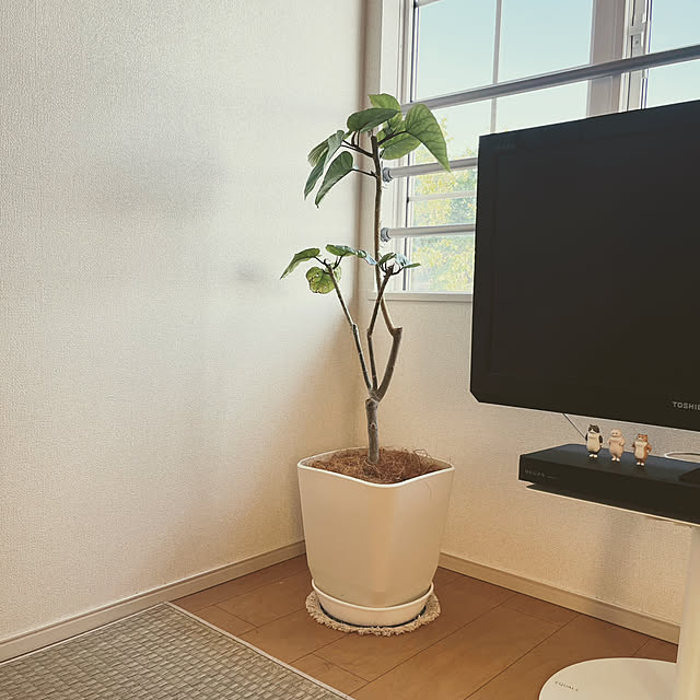 matteaさんの部屋