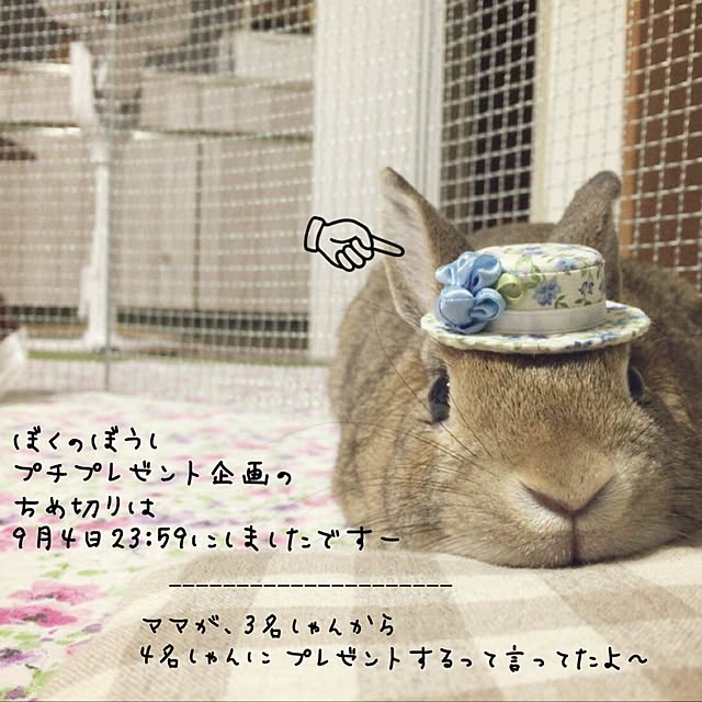 mashiさんの実例写真